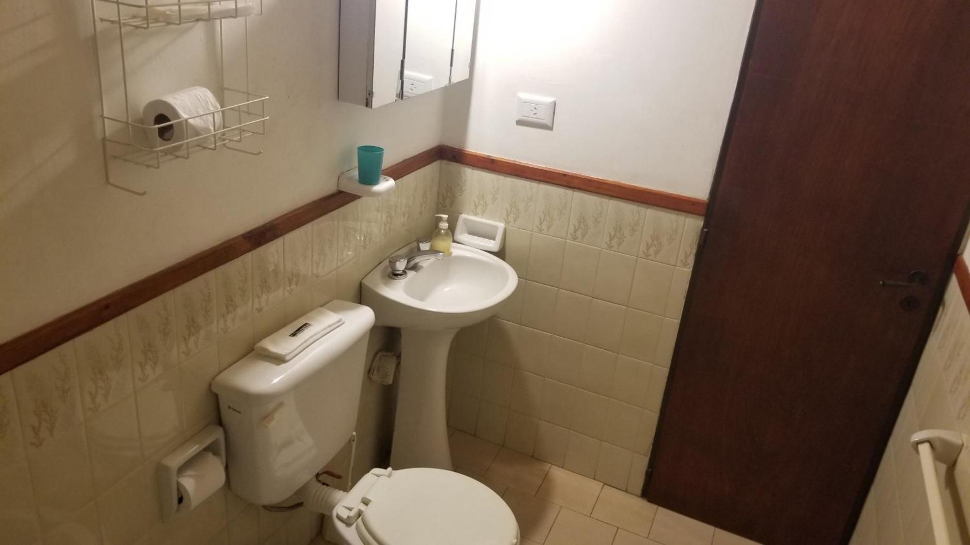 Apartament Coronel Rodhe - Andarlibre San Martín de los Andes Zewnętrze zdjęcie