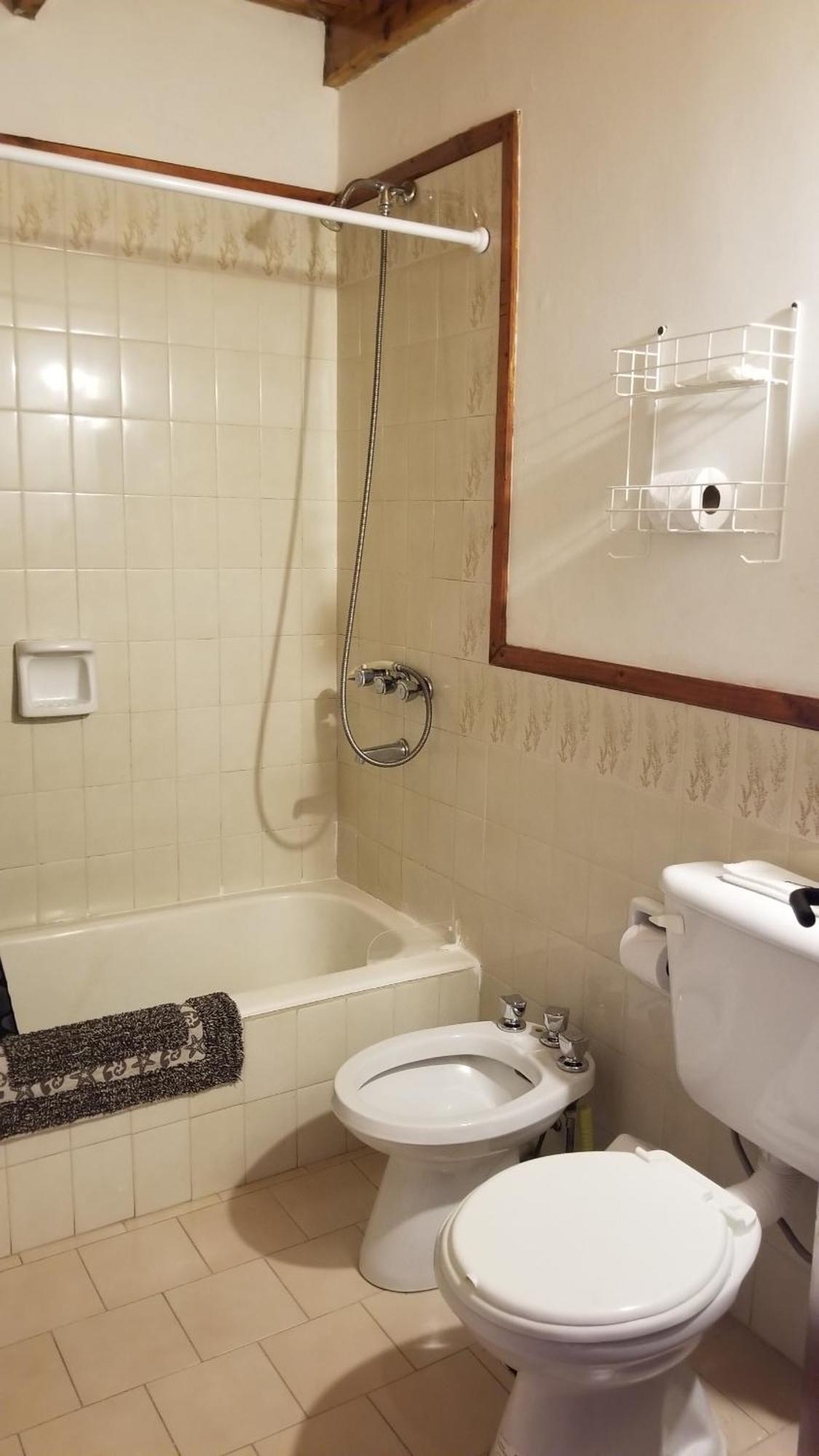 Apartament Coronel Rodhe - Andarlibre San Martín de los Andes Zewnętrze zdjęcie